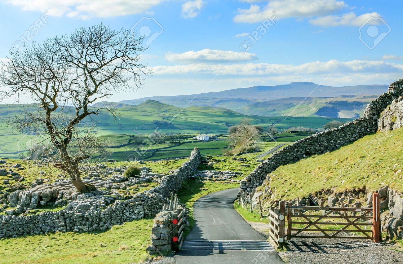 32770465-güzel-yorkshire-dales-manzara-çarpıcı-sahne-ingiltere-turizm-uk-yeşil-tepeler-yol